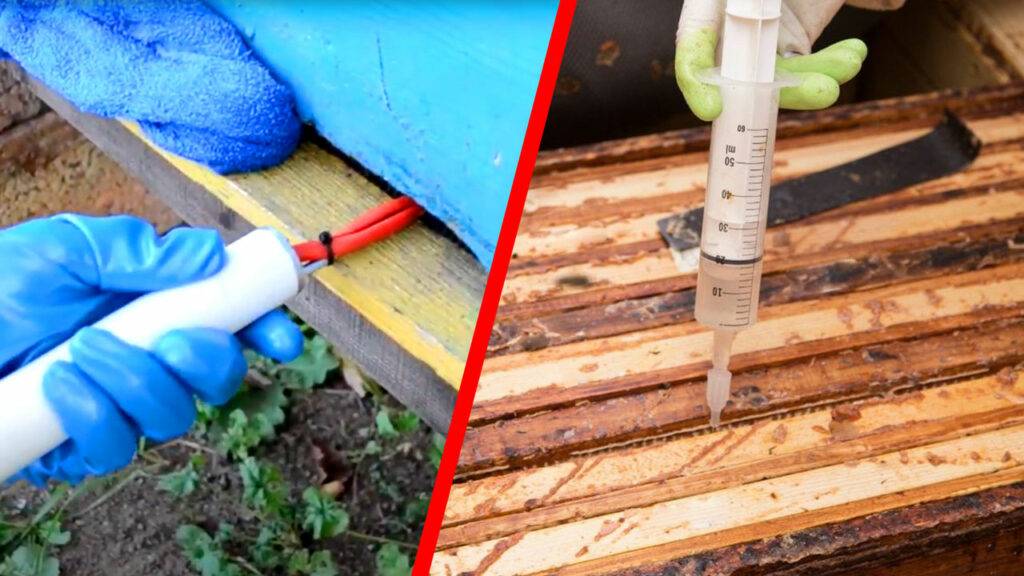 trattamento contro la varroa con acido ossalico