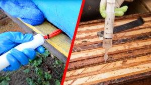 trattamento contro la varroa con acido ossalico