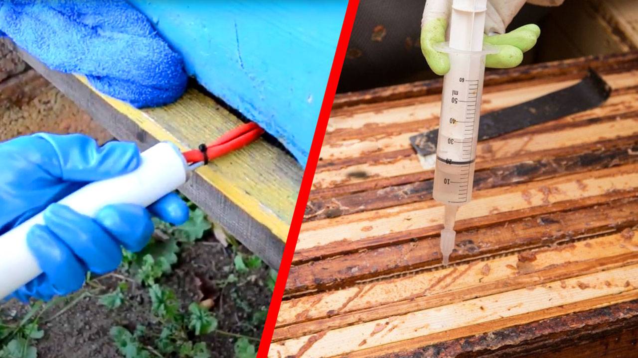treatment against varroa with oxalic acid