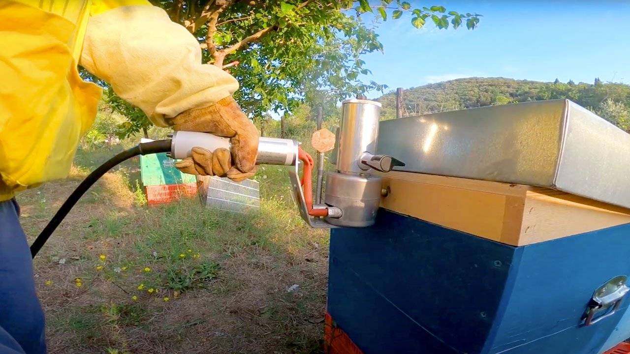 sublimazione di acido ossalico guida
